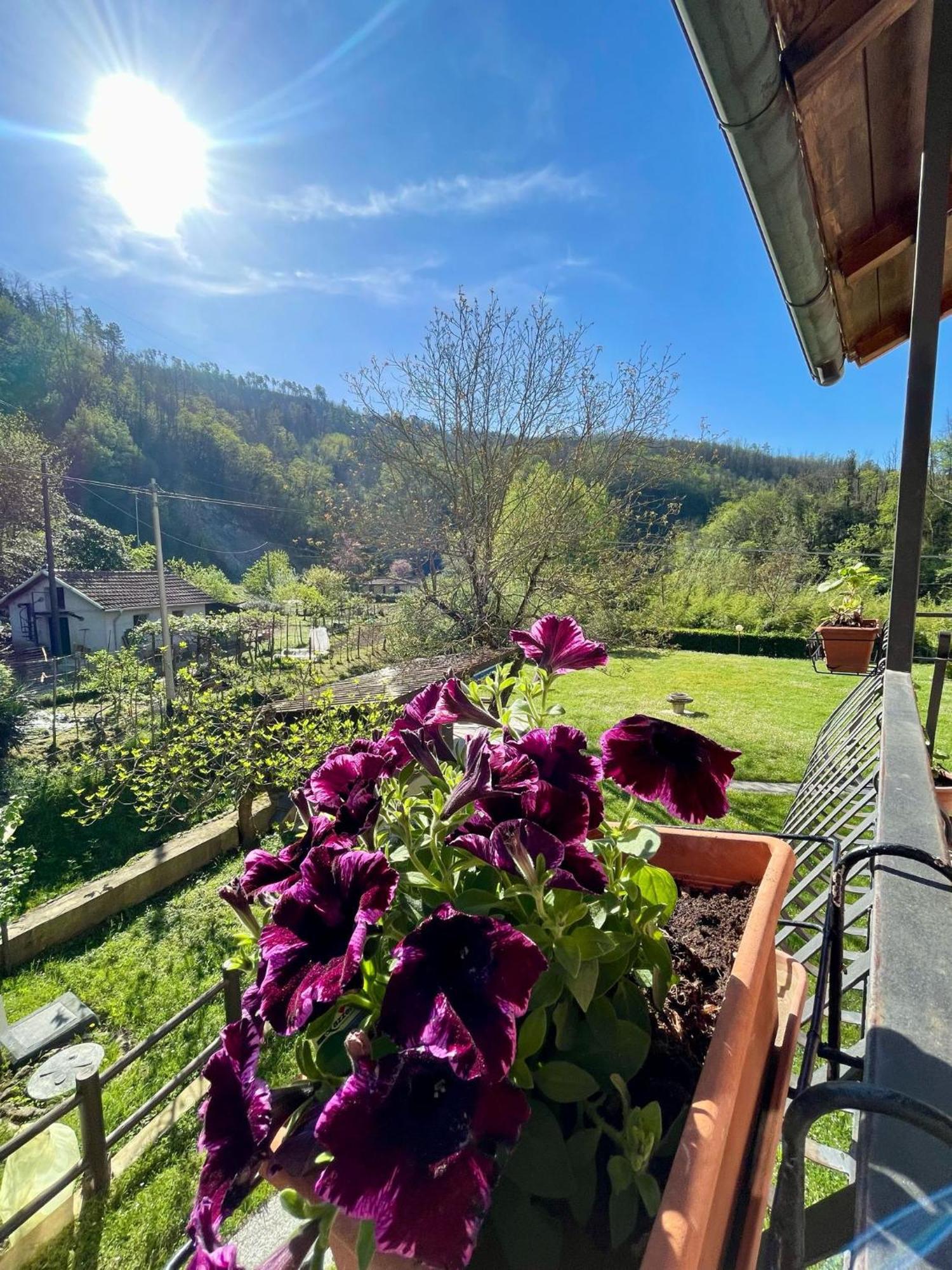 Casa Vacanze Marisa Sesta Godano