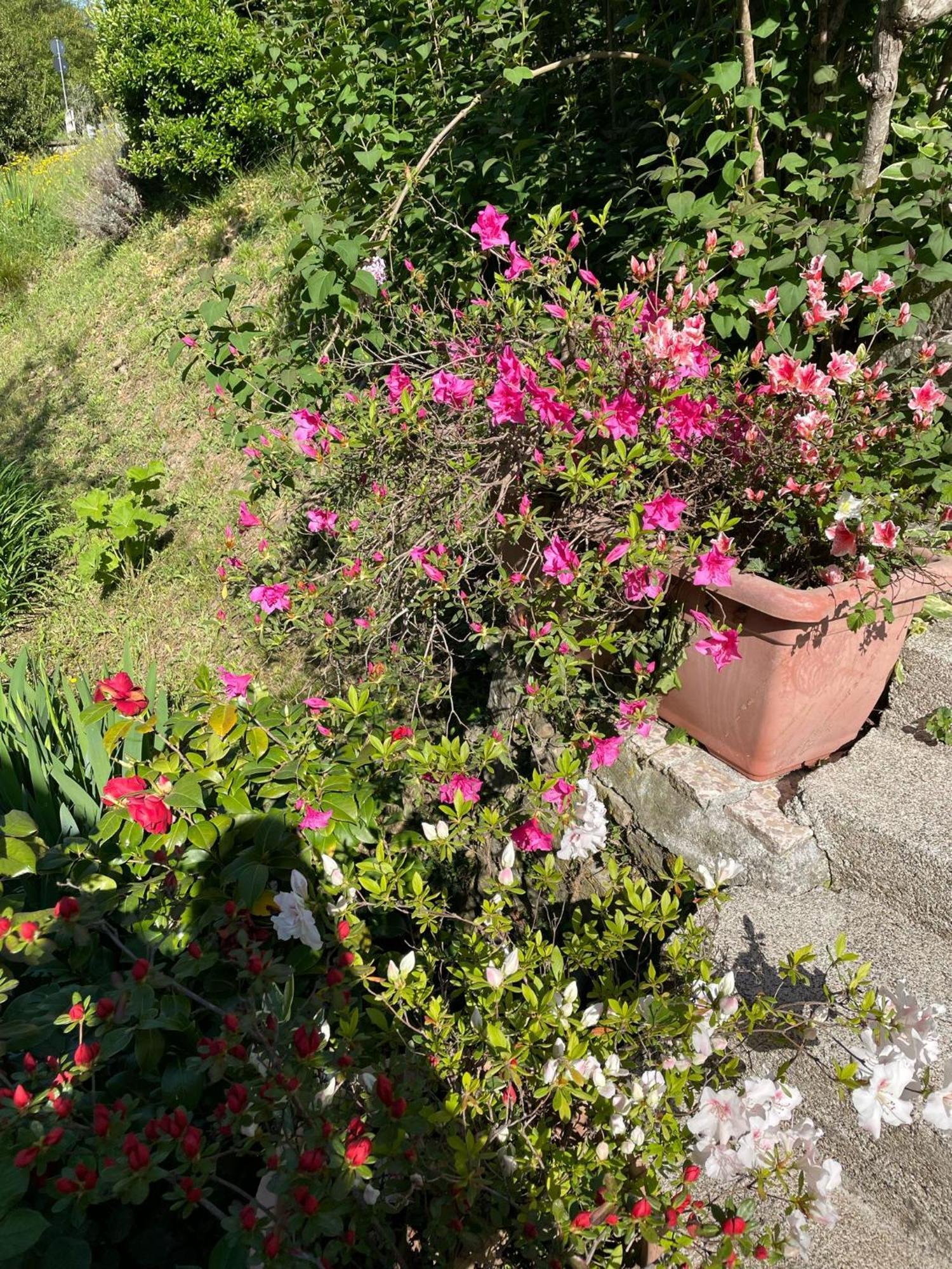 Casa Vacanze Marisa